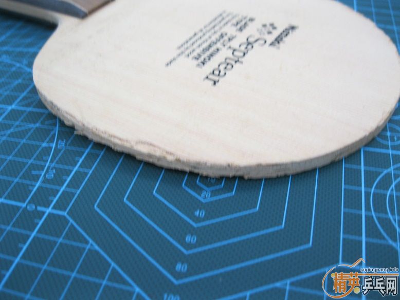 ��̫�µ�������ں��DONIC ��NITTAKU