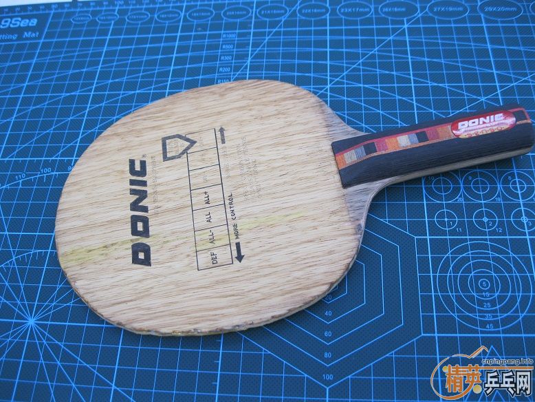 ��̫�µ�������ں��DONIC ��NITTAKU