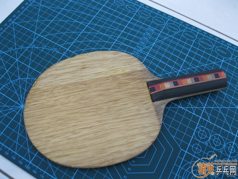 ��̫�µ�������ں��DONIC ��NITTAKU