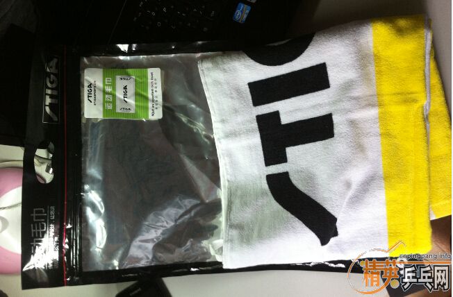 �����µ�STIGA����