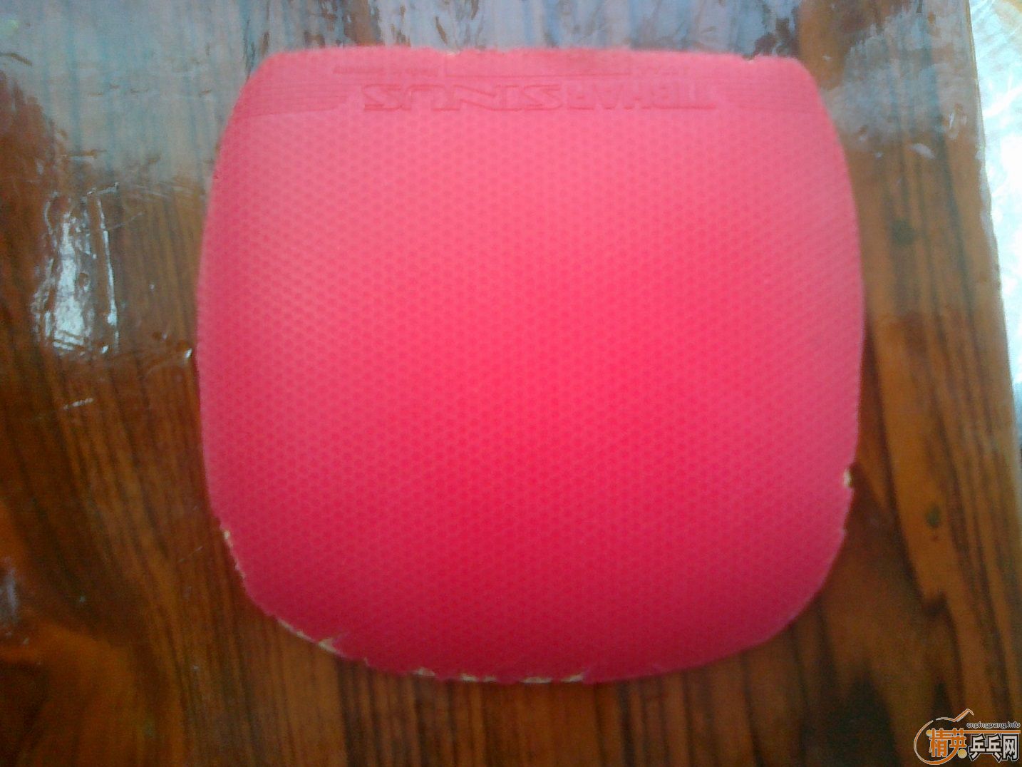 �ͼ۳�����ֱ�׽�����͡�FLEXTRE�����ʹ�Z��������ZAP�����������Ⱥ�ɷ��������G1��