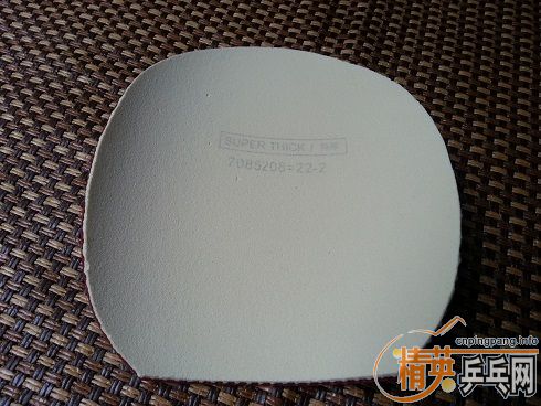 ��һƬ��ɫ9.5����NITTAKU C1