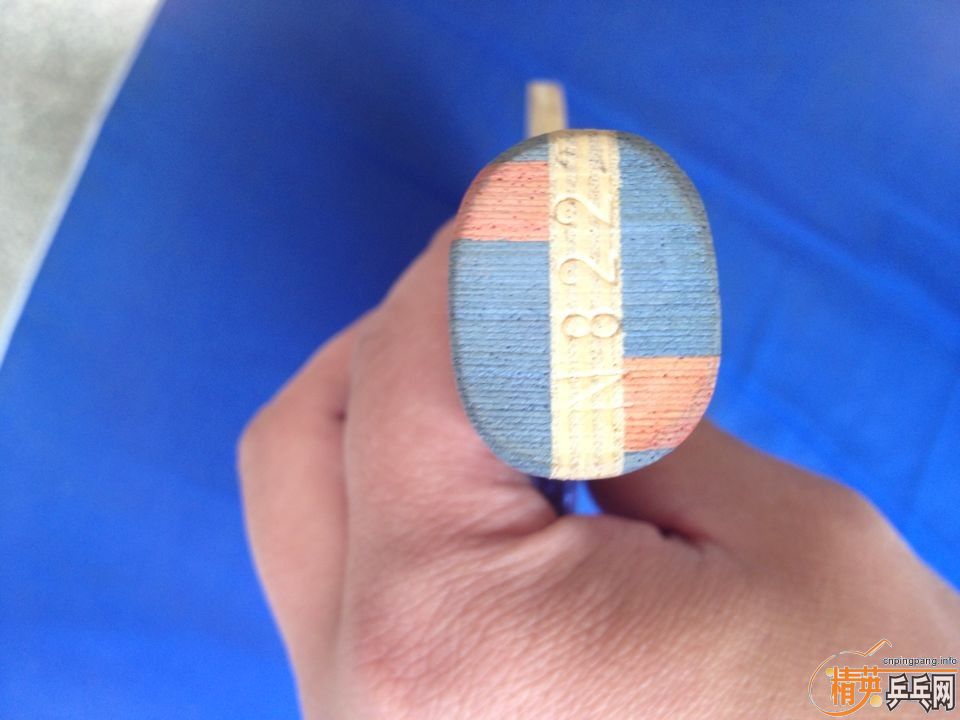 ˳ƺ˫ϲ