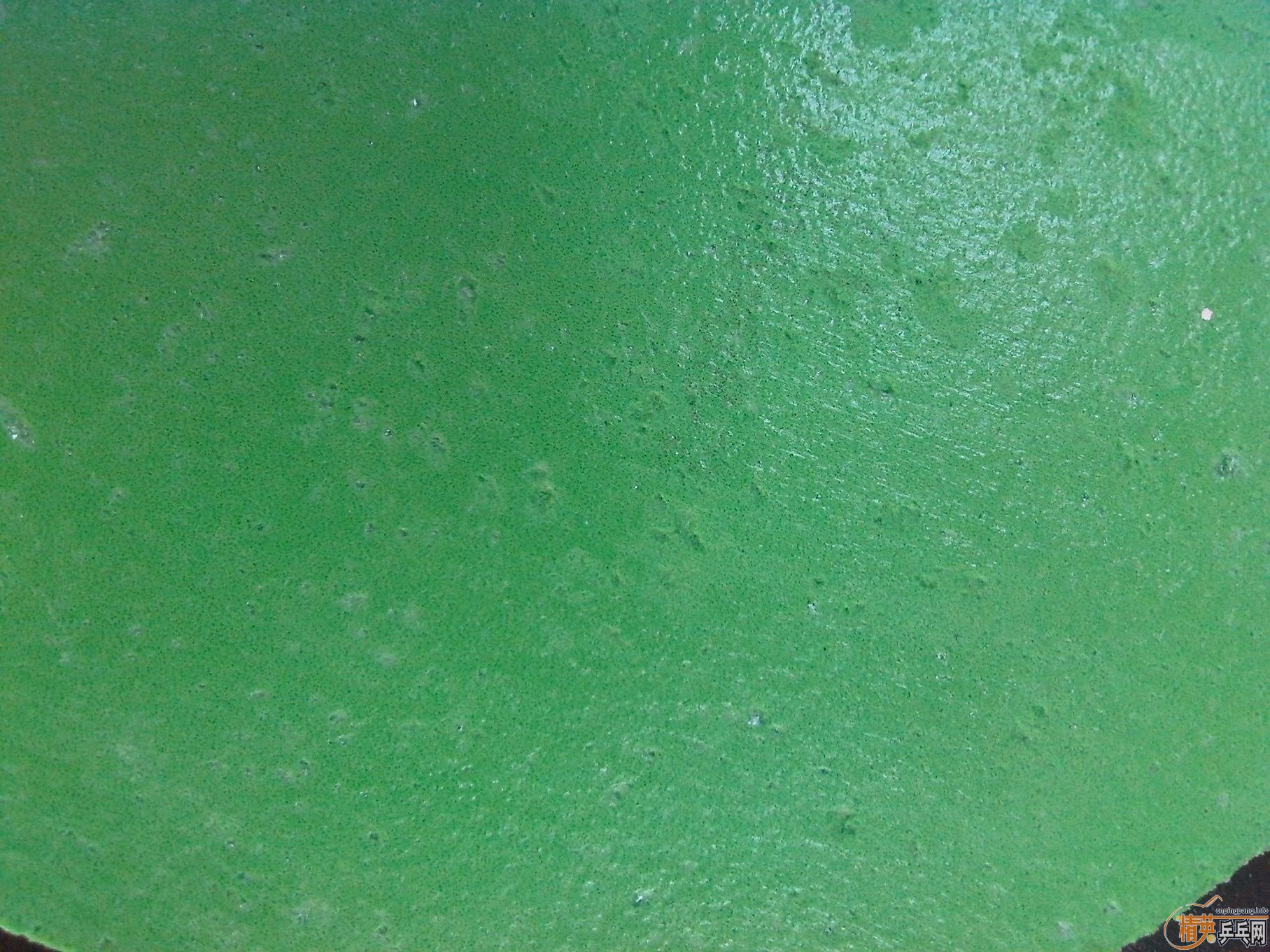 �� ��ɷTurbo ��ɫ max