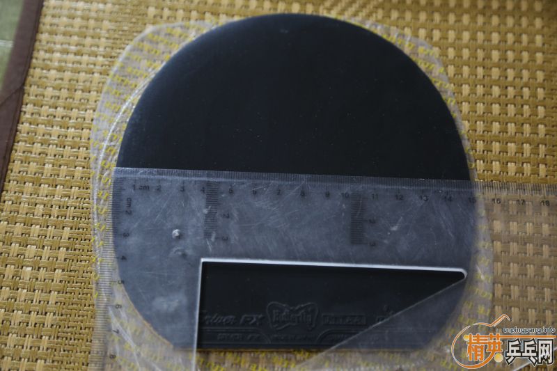 [ԭ��]Ʒ��� ��ɫ�� ���ʵ����� sense7.6ŷ�� YSC�հ� С����FX �����F1