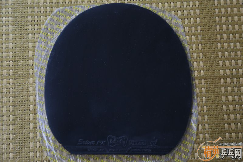 [ԭ��]Ʒ��� ��ɫ�� ���ʵ����� sense7.6ŷ�� YSC�հ� С����FX �����F1