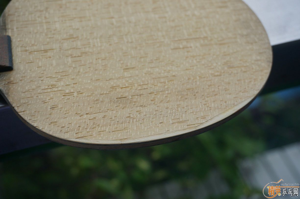 [ԭ��]�������֧������������,һ֧��ʩ��̼�������׽�,һ֧�ǲ�������