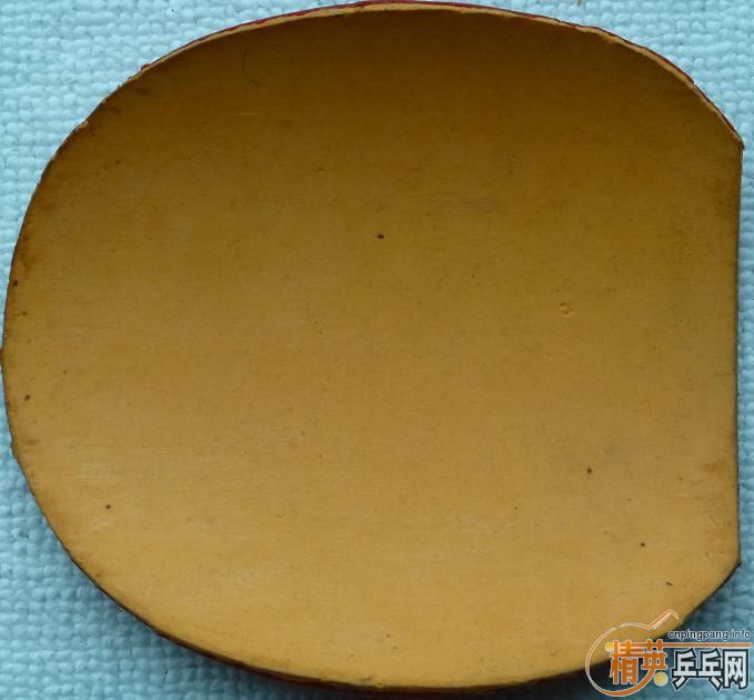 �x�y�z �~ �z�y�xֻ������ε�NEO������39�ȣ�2.15��DONIC���棬75���ˣ����� YAOSIR TT������һ��δ����20�ź��ࡣ