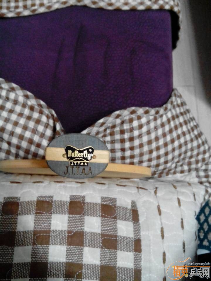 ŷ����ľ��о�壬����SHAKITTE