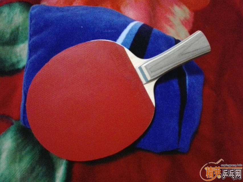 [����]�ҵ���ע VIS�����ĺô�