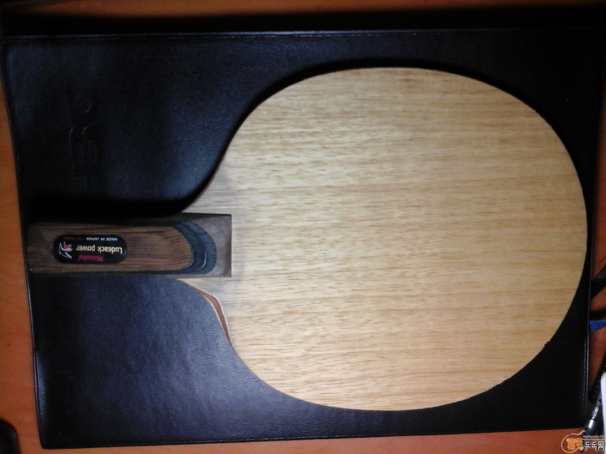 �����ѳ����л����ִ���