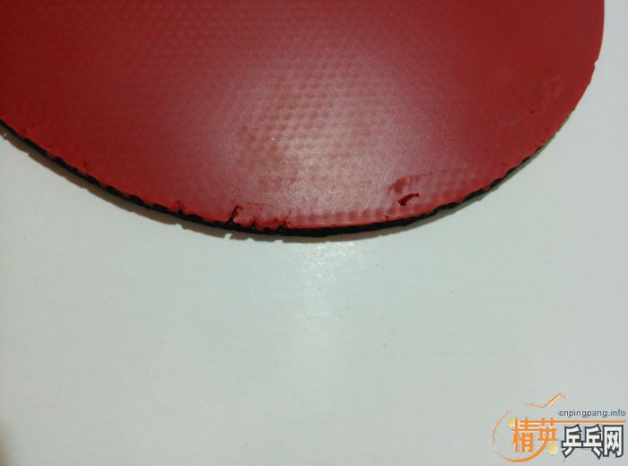 齾ŷ4ް棨79--018һ飬ŷް棨79-019Ŀ飬רҵ棨79-017顣