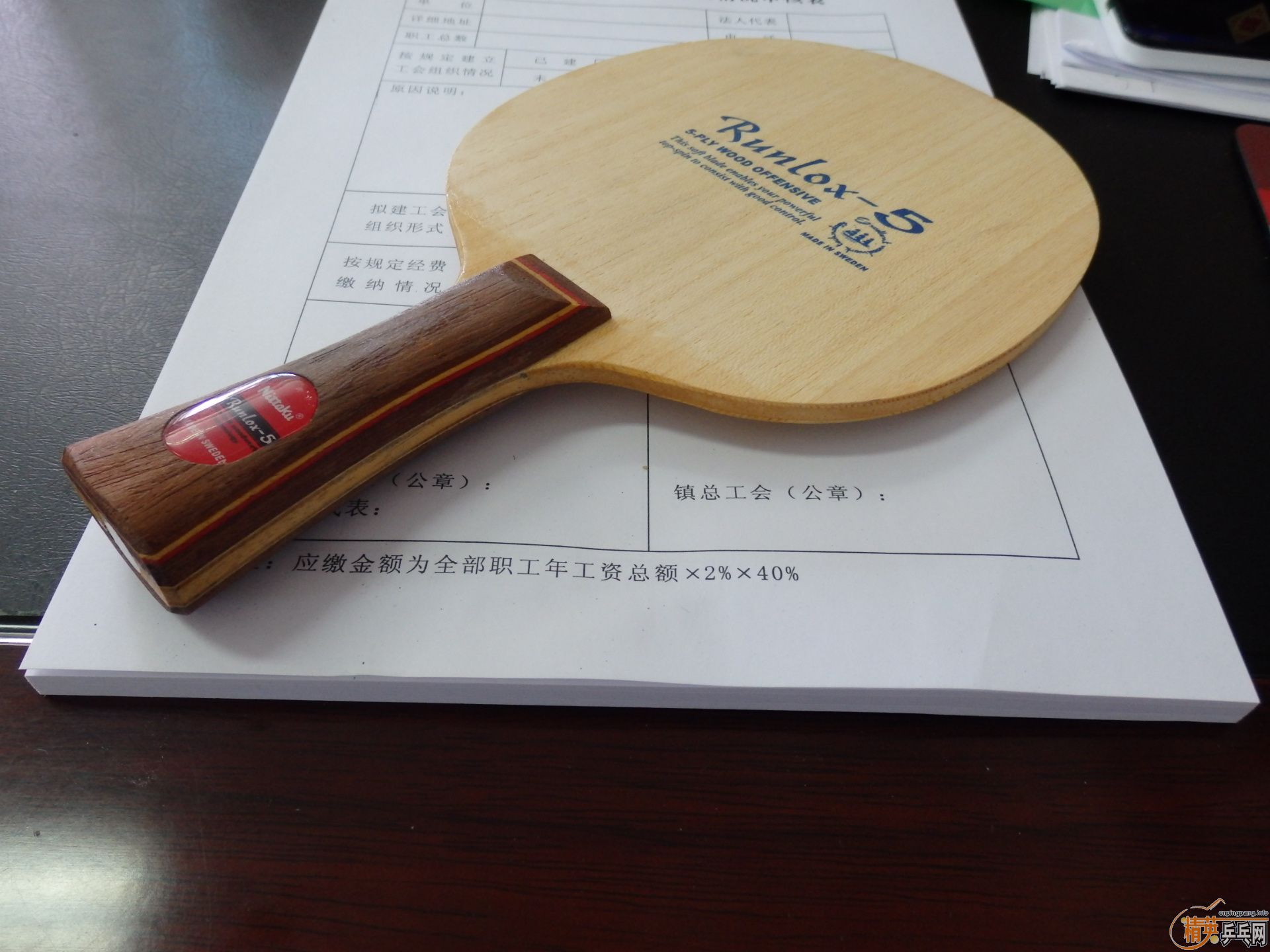 ������԰��������R5