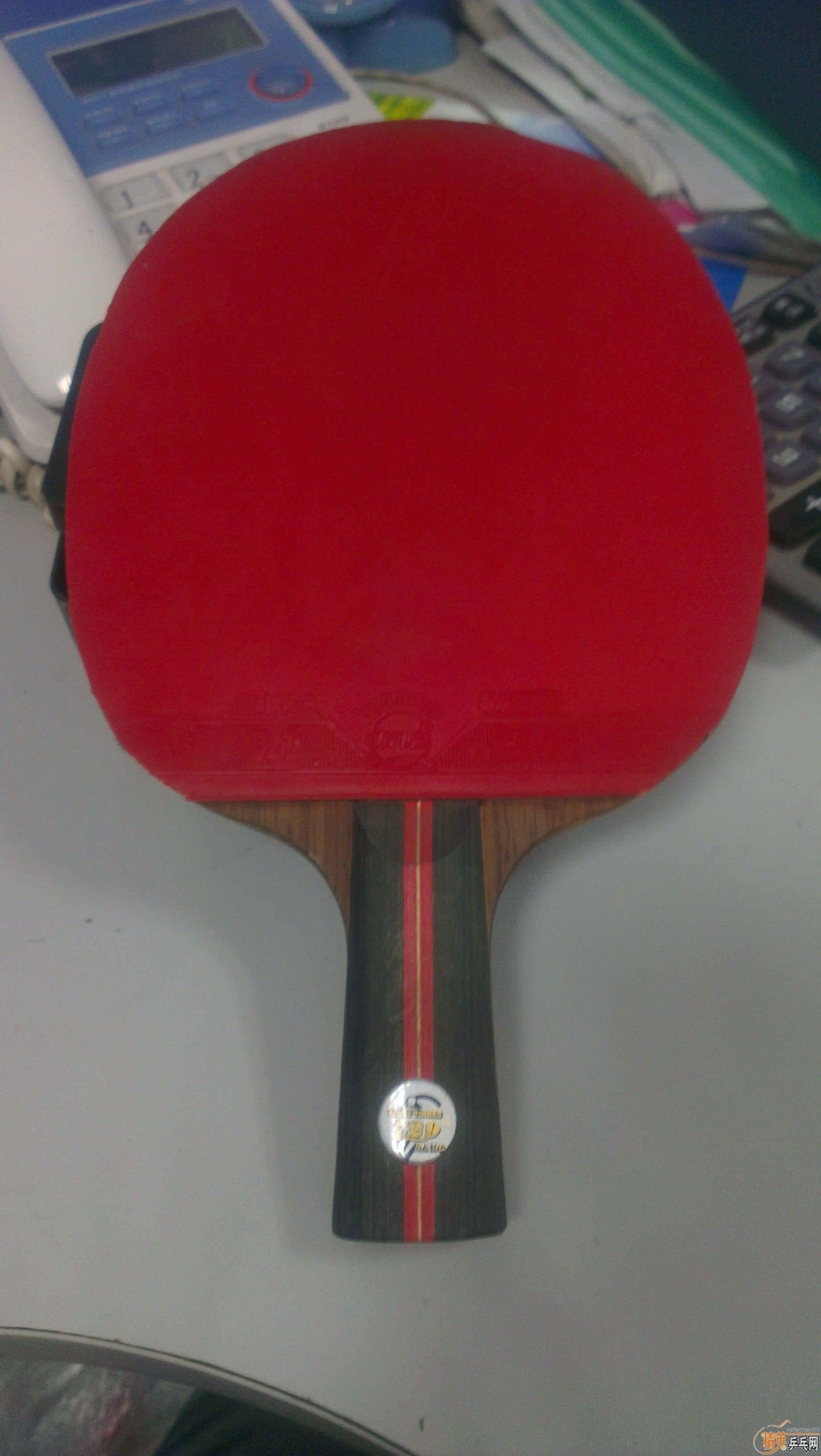 ��������˹�������(����Ƥ��