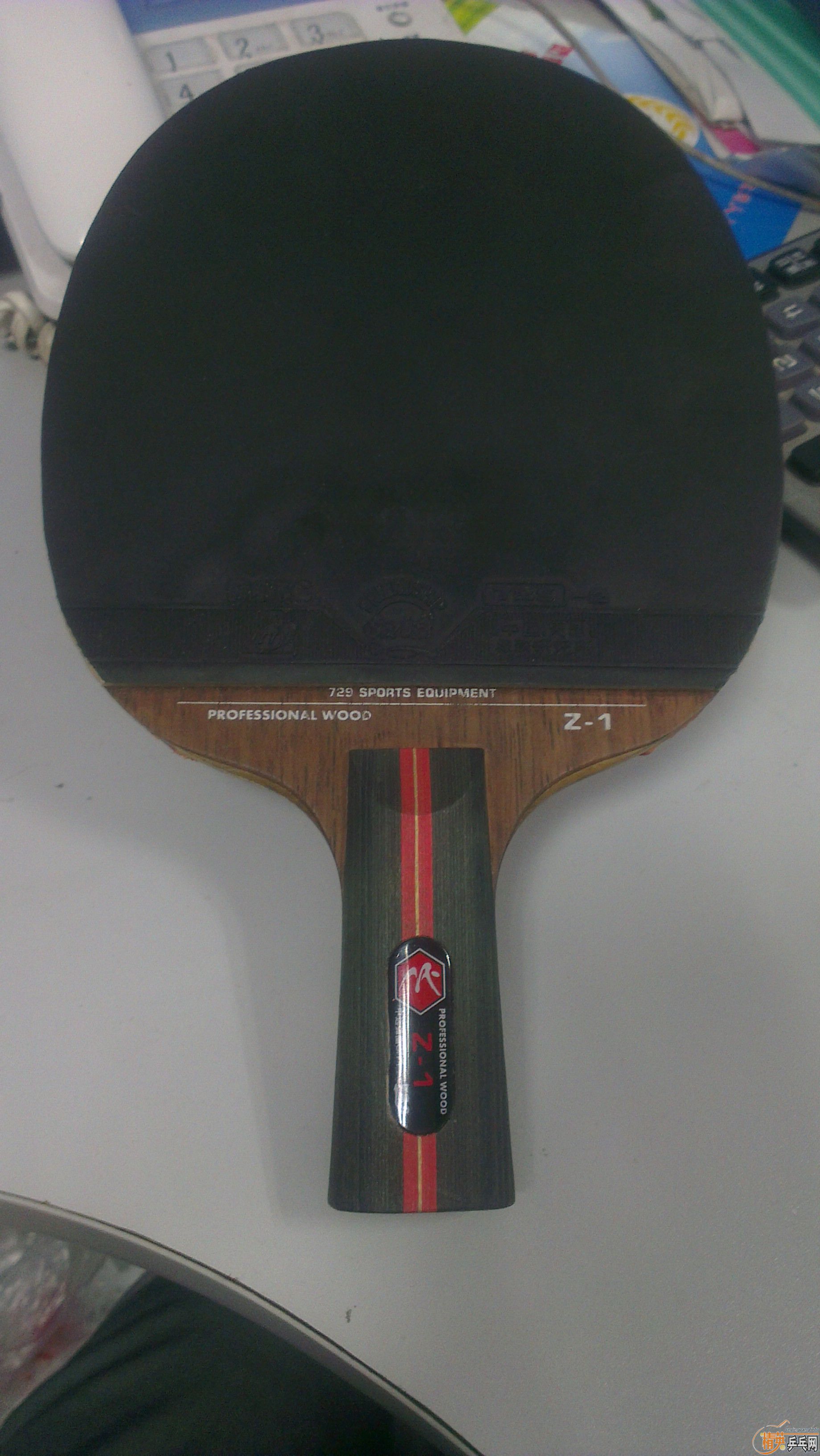 ��������˹�������(����Ƥ��