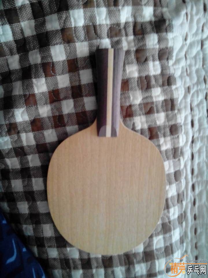 ����������ľ30551