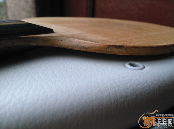 avalox 555    250Ԫ����