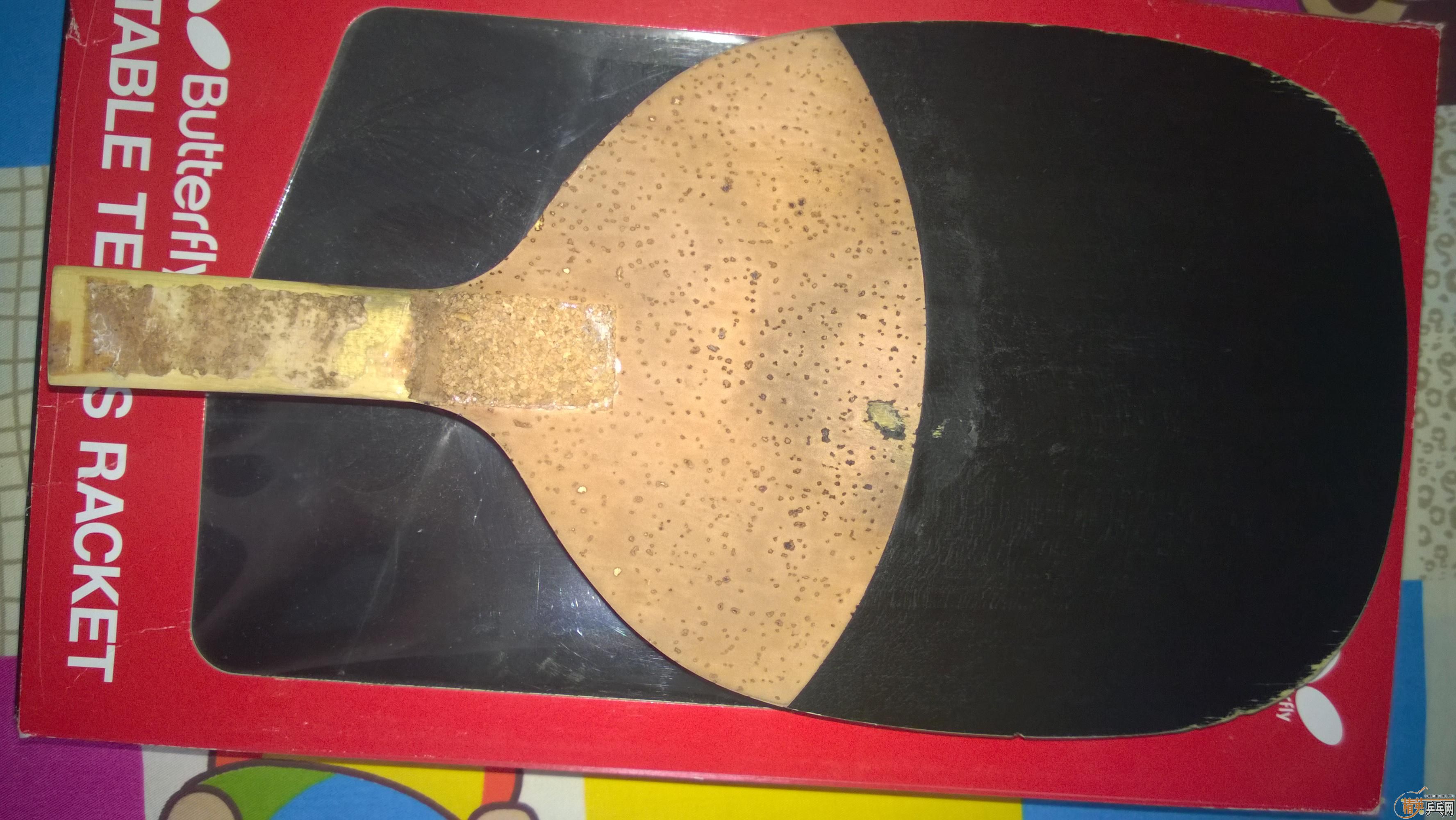 ���ѳ���MAX