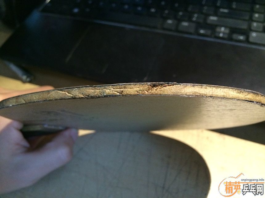 ���������س�����Բ��Nittaku Rutis-------------------------------------200����