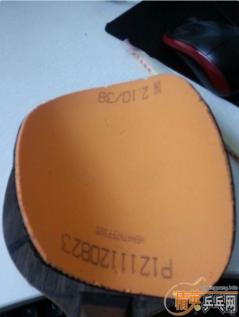 ���� ��ɫ  38�� 110Ԫ ����