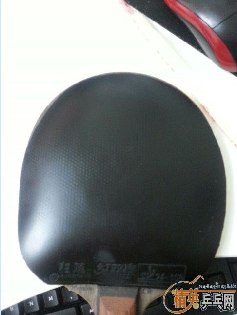 ���� ��ɫ  38�� 110Ԫ ����