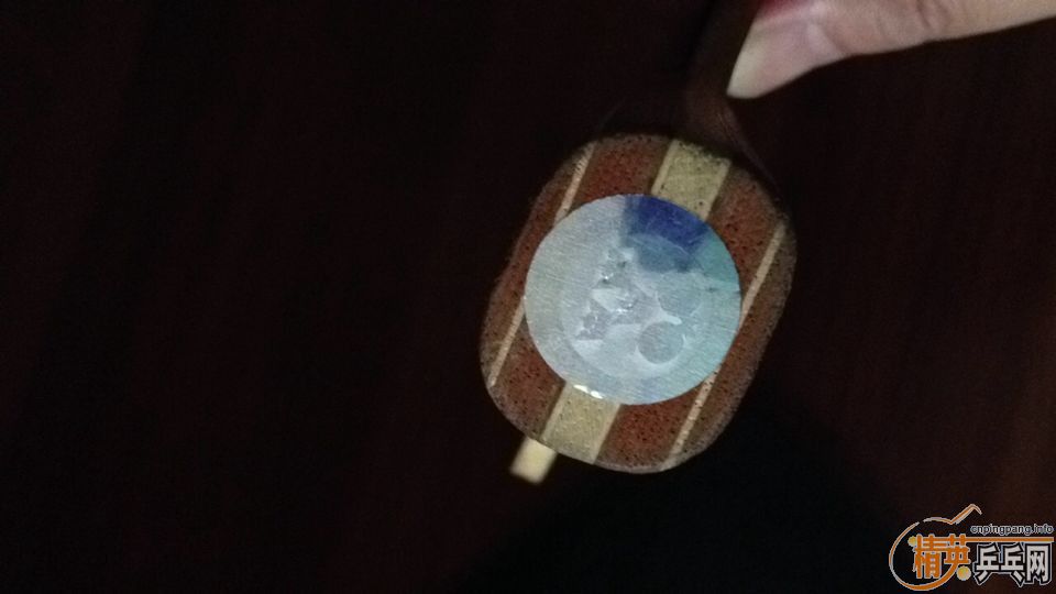 522Ԫ��˳���88��õ��5��QQ��729970��TEL��13918488887