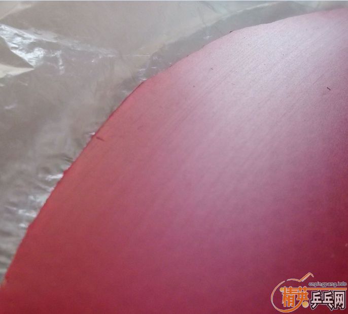 ����֧������������桿��һ����ڡ�����ɫ�á���һŵ������1Qxd����Ψ��JAPAN������