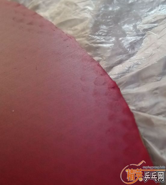 ����֧������������桿��һ����ڡ�����ɫ�á���һŵ������1Qxd����Ψ��JAPAN������