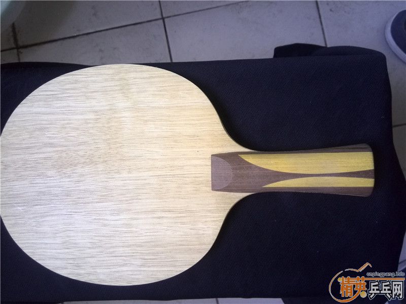 [ԭ��]190���ʳ�רҵ�����