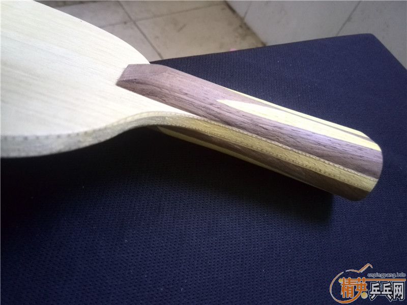 [ԭ��]190���ʳ�רҵ�����