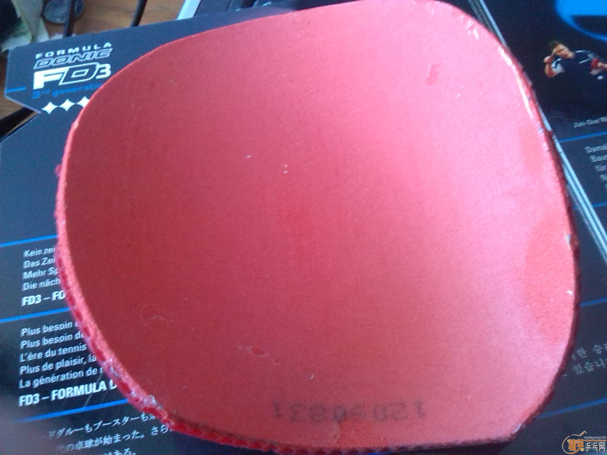 ʡ���칭���տ��켶���ؼ۴��120�����