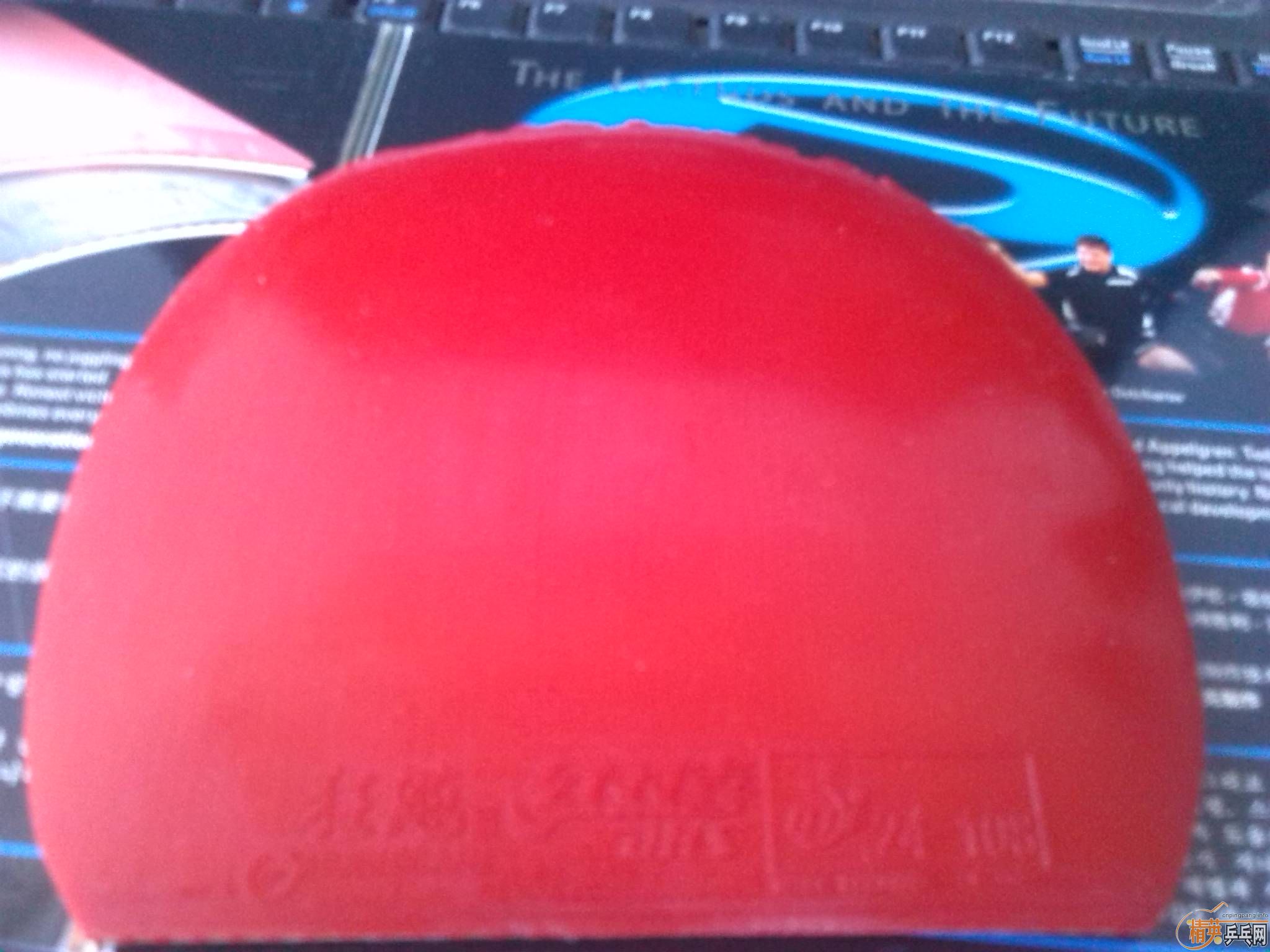 ʡ���칭���տ��켶���ؼ۴��120�����