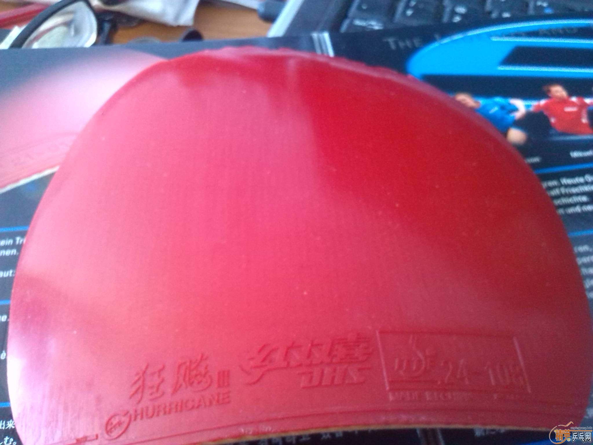 ʡ���칭���տ��켶���ؼ۴��120�����