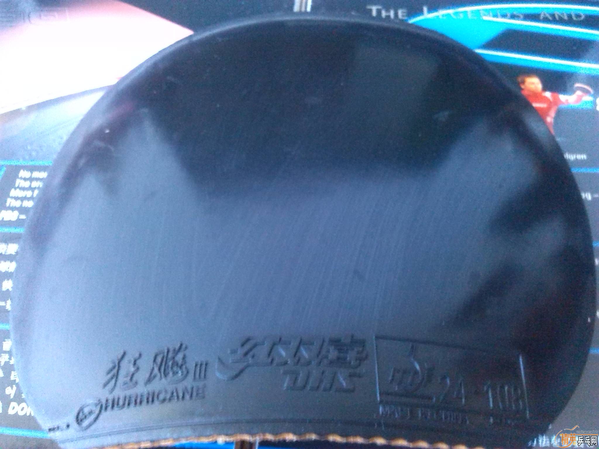 ʡ���칭���տ��켶���ؼ۴��120�����