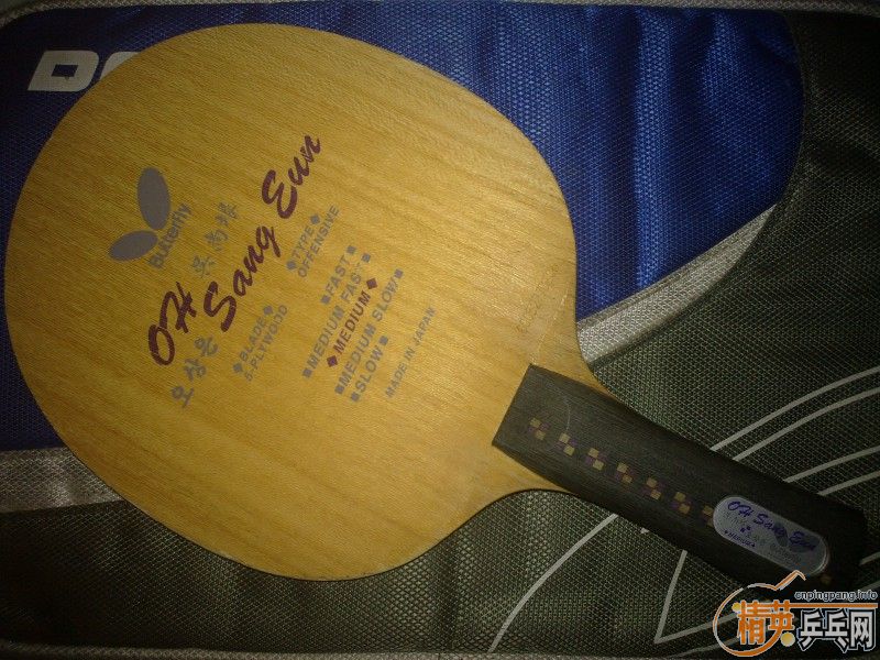 �����ɭ̼�أ�������ľ