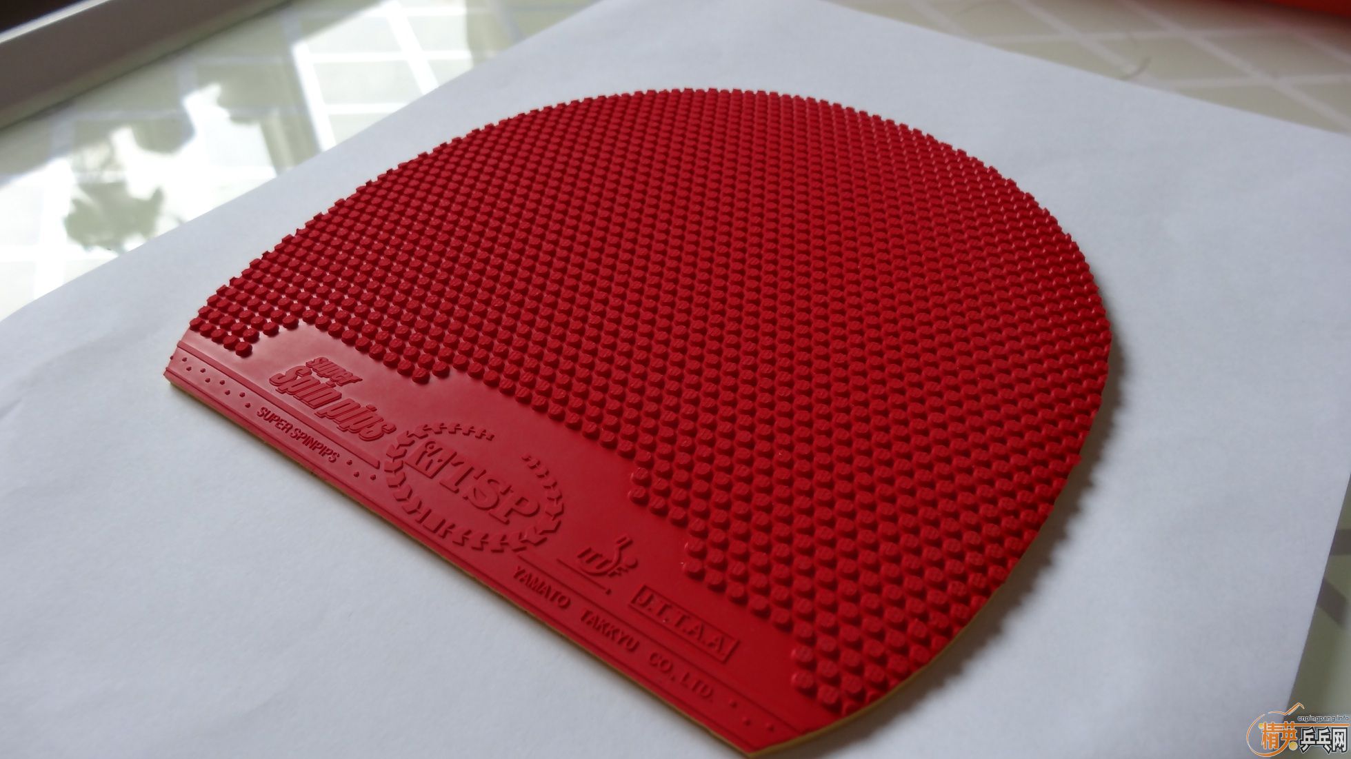 �����ǰ�������ɫ�µ��׽�