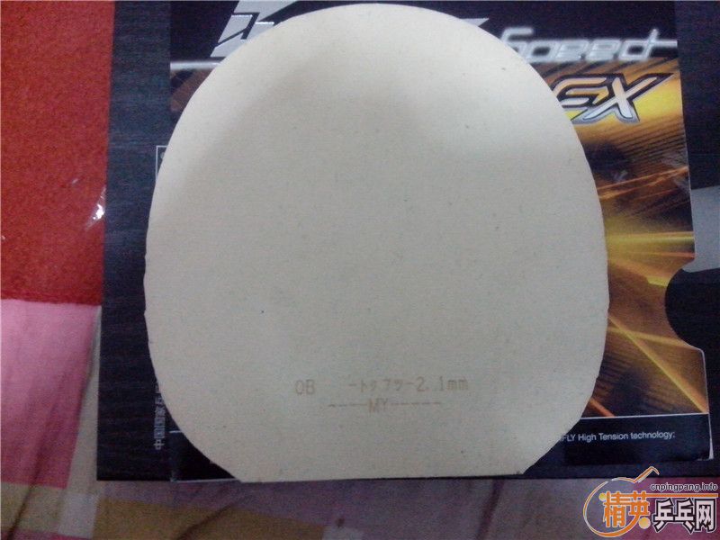 �칭 ����ٶ�FX