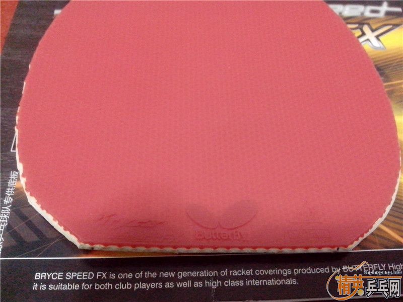 �칭 ����ٶ�FX