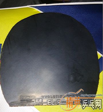 �����ᣬ��˺�V��elp