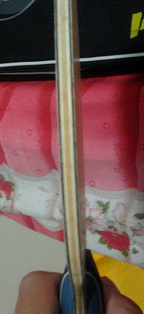 [ԭ��]����ķ���ܵװ�FL�ֱ�����87�ˣ���6.2-6.3mm��ľ��ֱ�Ҿ��ȣ������ͼ����240���ʳ���ƫԶ�������⣩