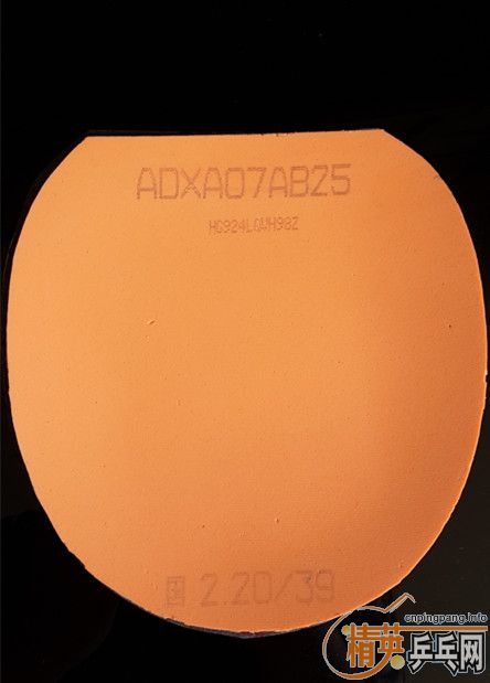 ������3��ʡ��3����ܽ����3��T64