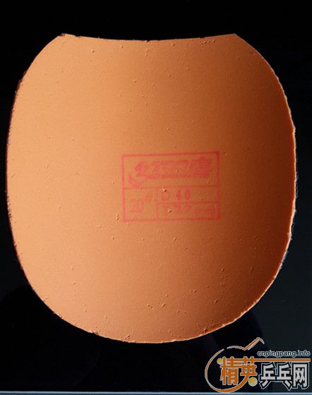 ������3��ʡ��3����ܽ����3��T64