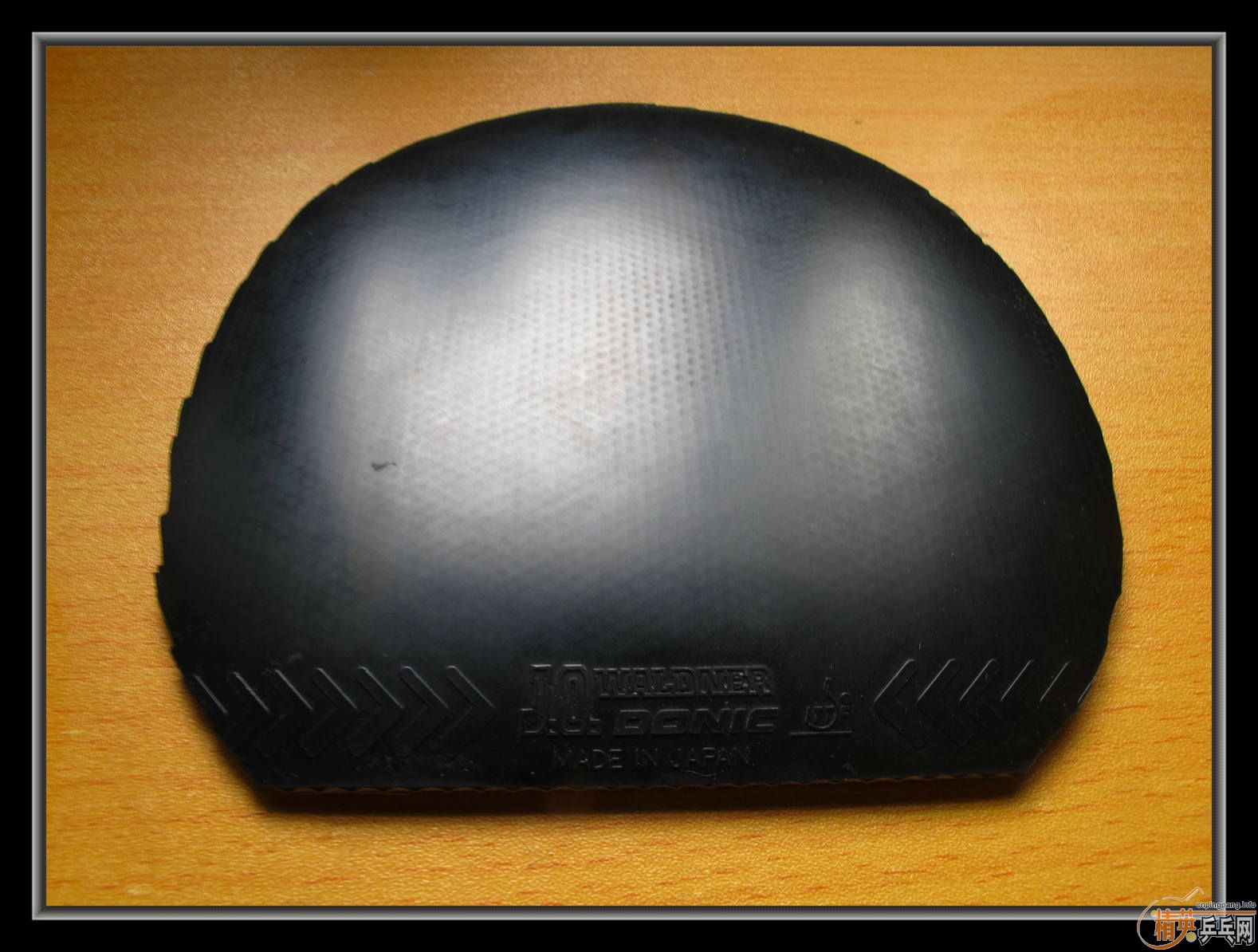 ��С����Ʒ����ʮ���Ž�Ƥ������T05�������JO,�ȵ�