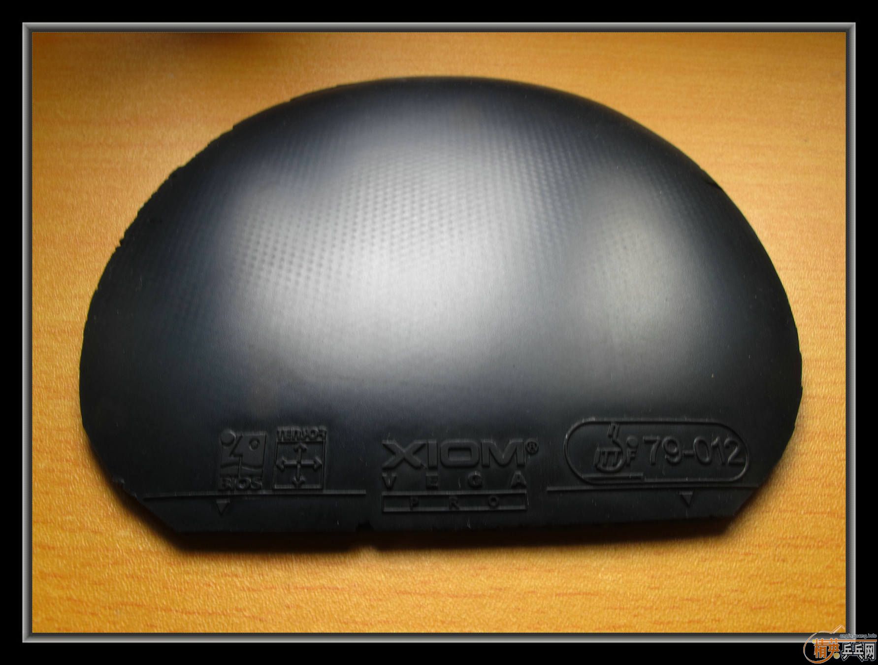 ��С����Ʒ����ʮ���Ž�Ƥ������T05�������JO,�ȵ�