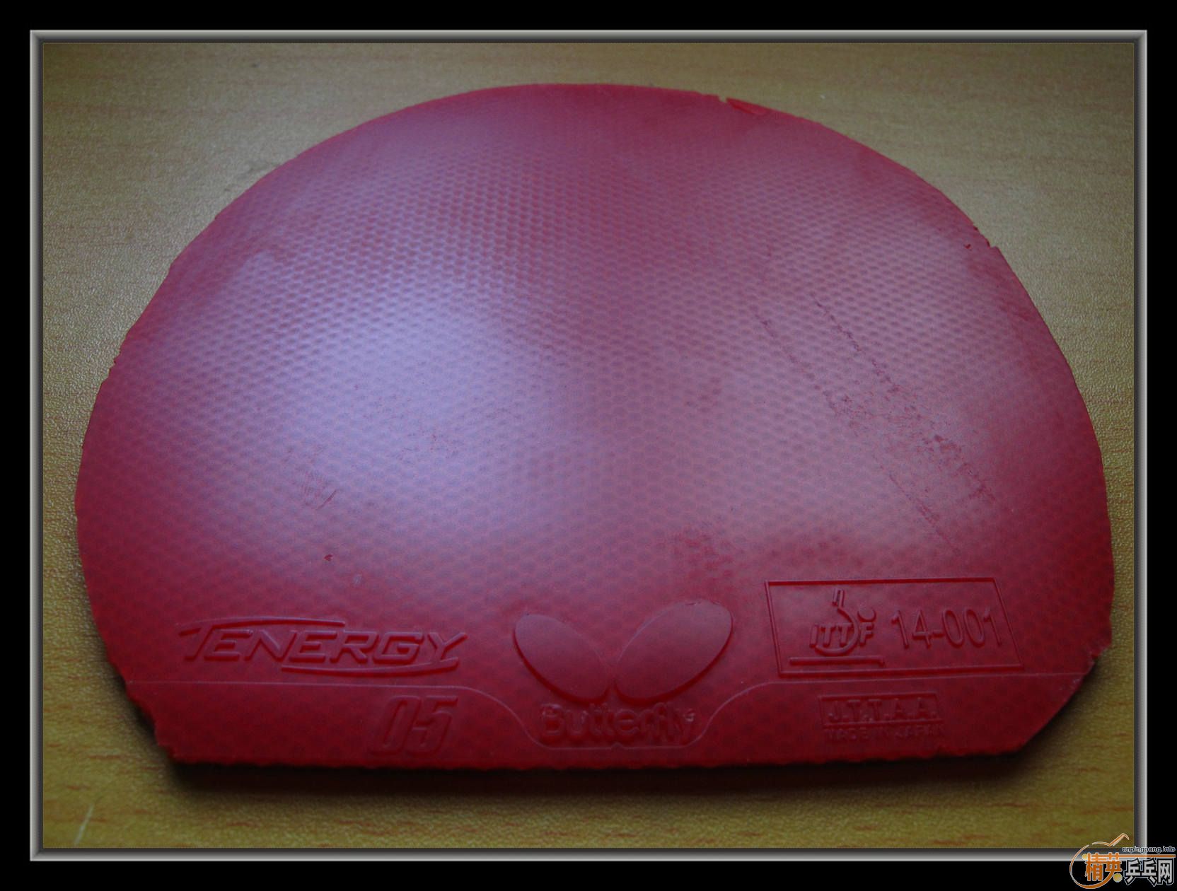 ��С����Ʒ����ʮ���Ž�Ƥ������T05�������JO,�ȵ�