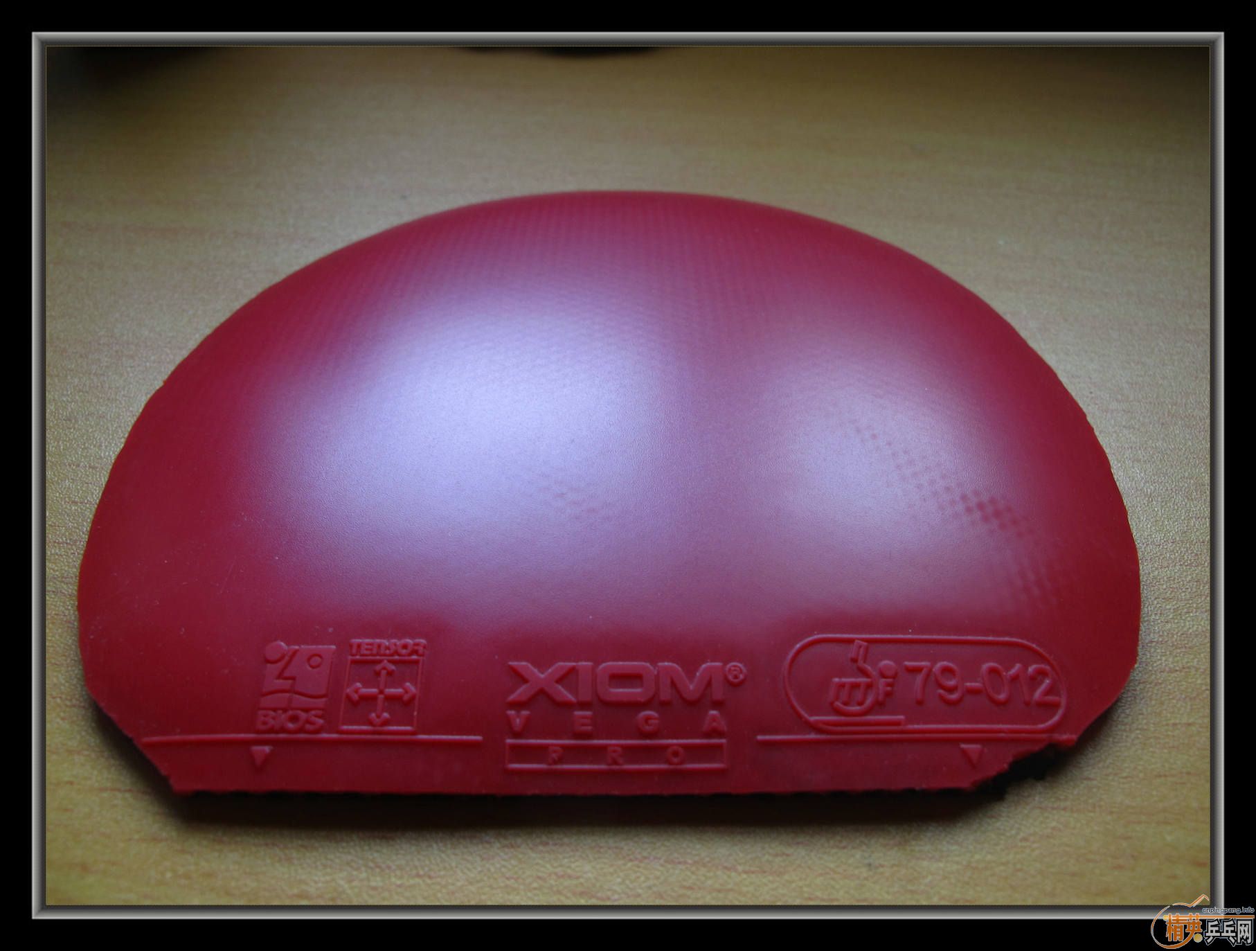 ��С����Ʒ����ʮ���Ž�Ƥ������T05�������JO,�ȵ�