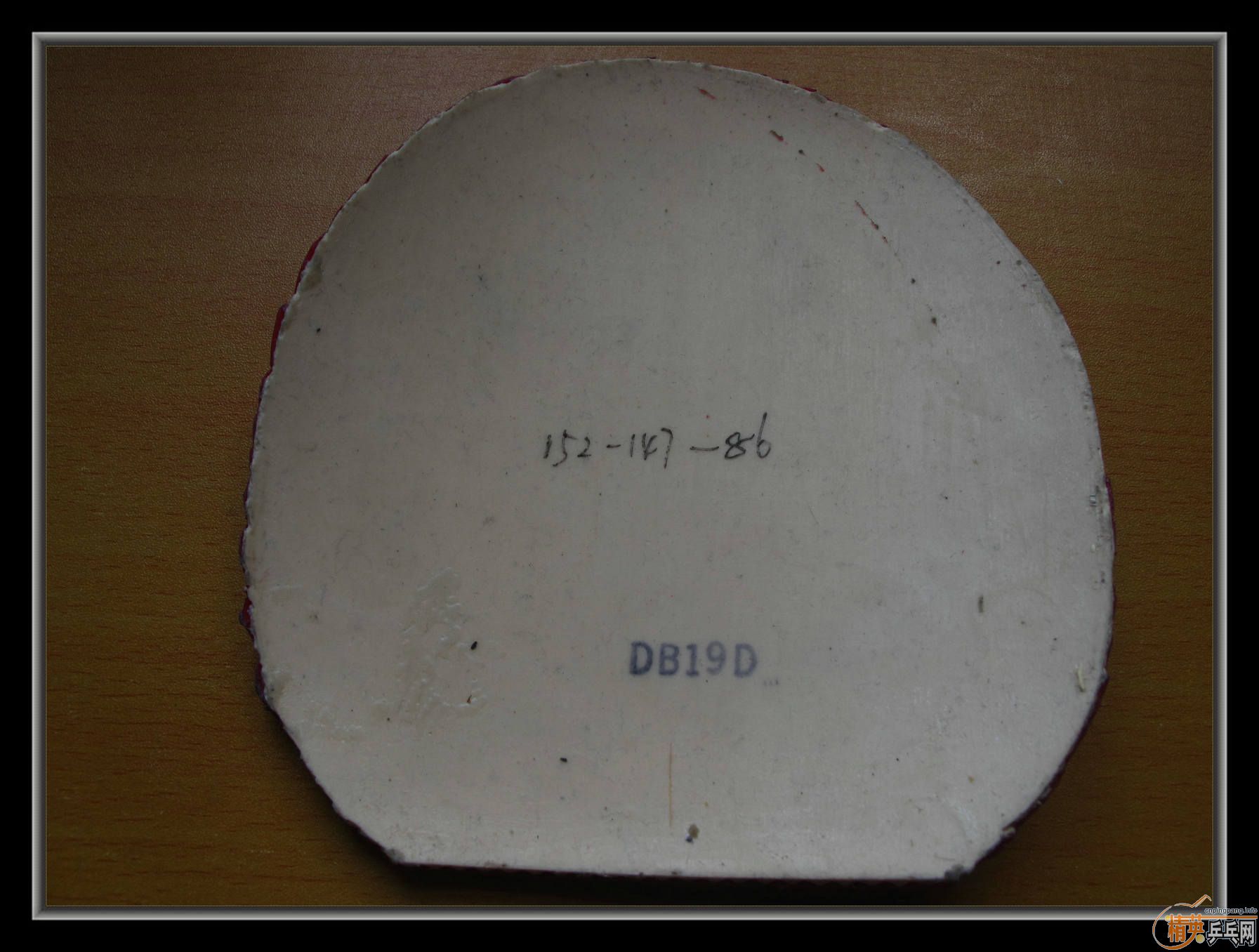 ��С����Ʒ����ʮ���Ž�Ƥ������T05�������JO,�ȵ�