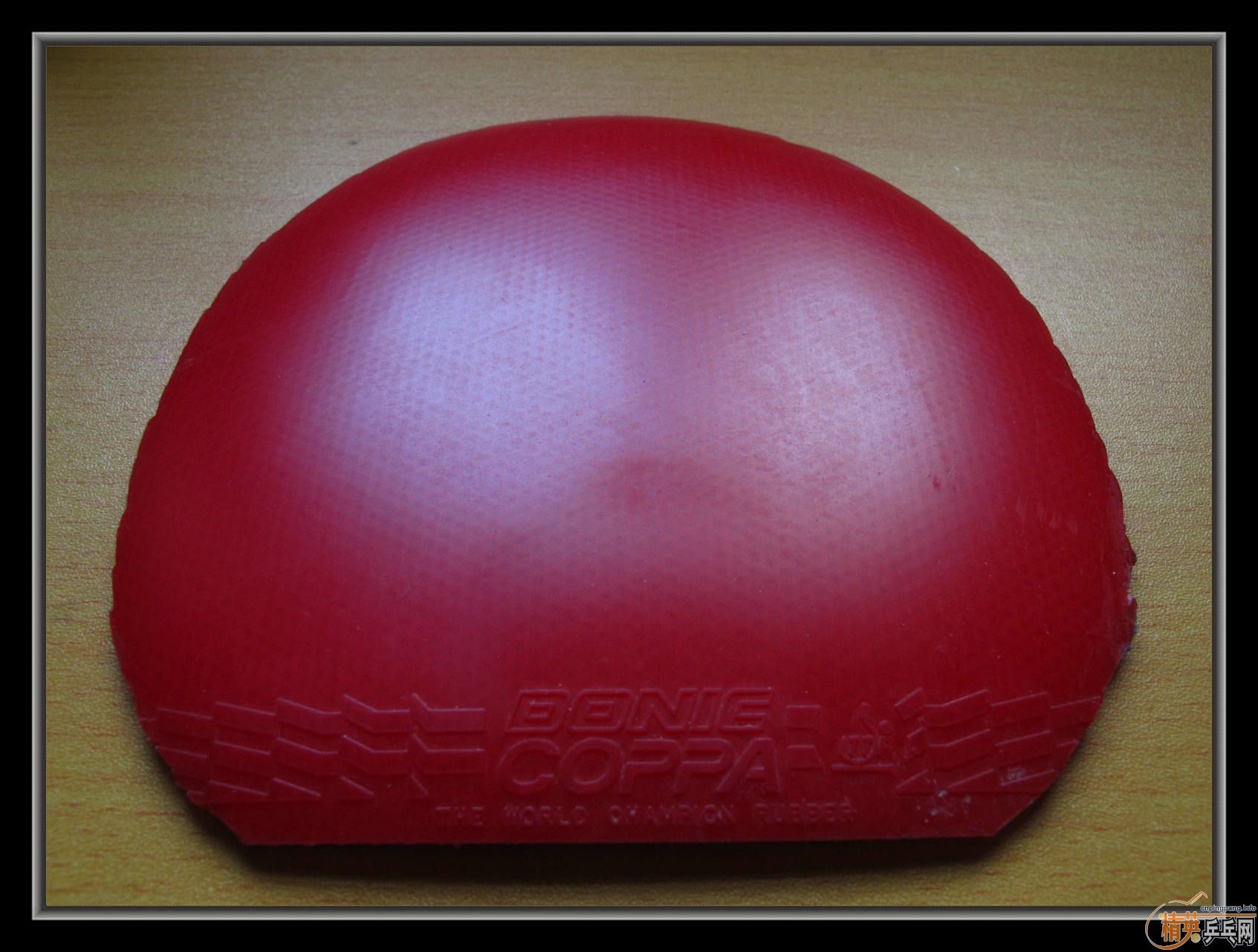 ��С����Ʒ����ʮ���Ž�Ƥ������T05�������JO,�ȵ�