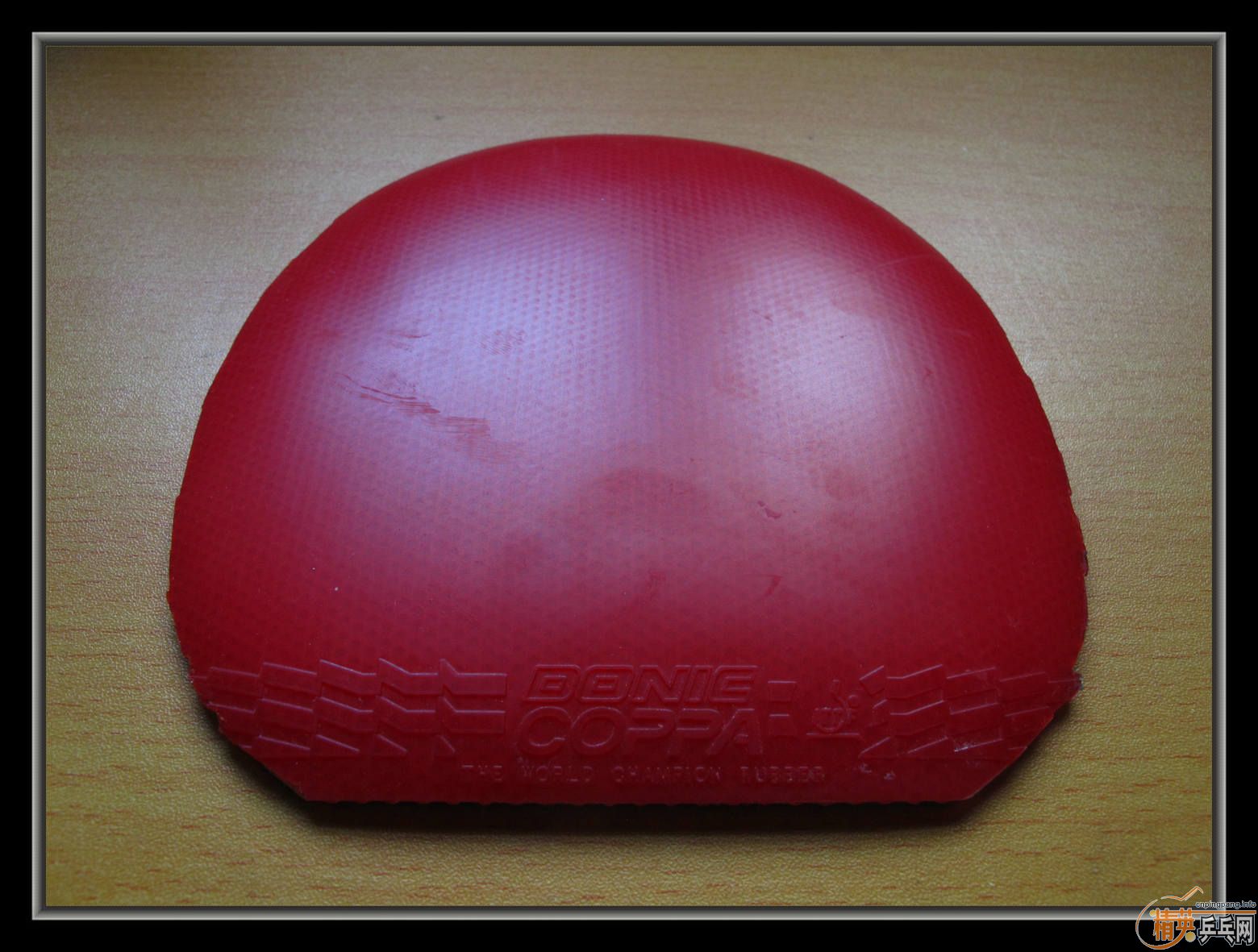 ��С����Ʒ����ʮ���Ž�Ƥ������T05�������JO,�ȵ�