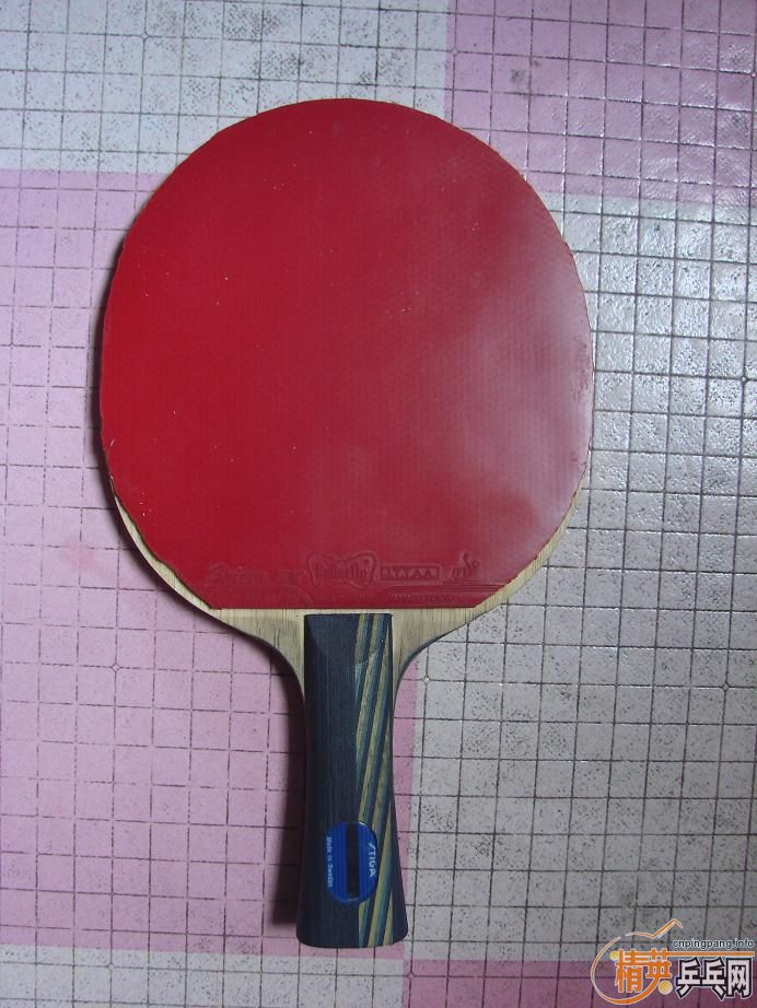 9���л�˹�ۿ�Eg-WRB������ ����JOOLA VIVA